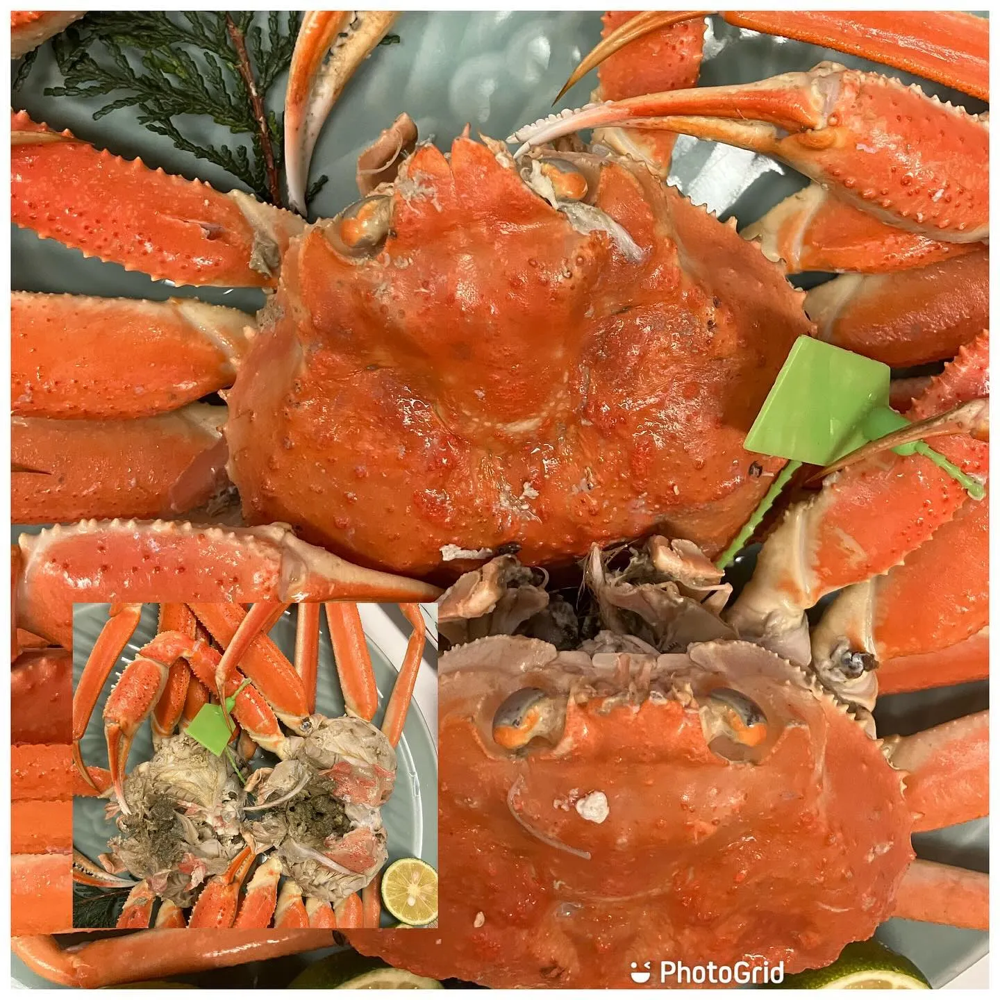 🦀🐡と、おまけに松茸三昧😆