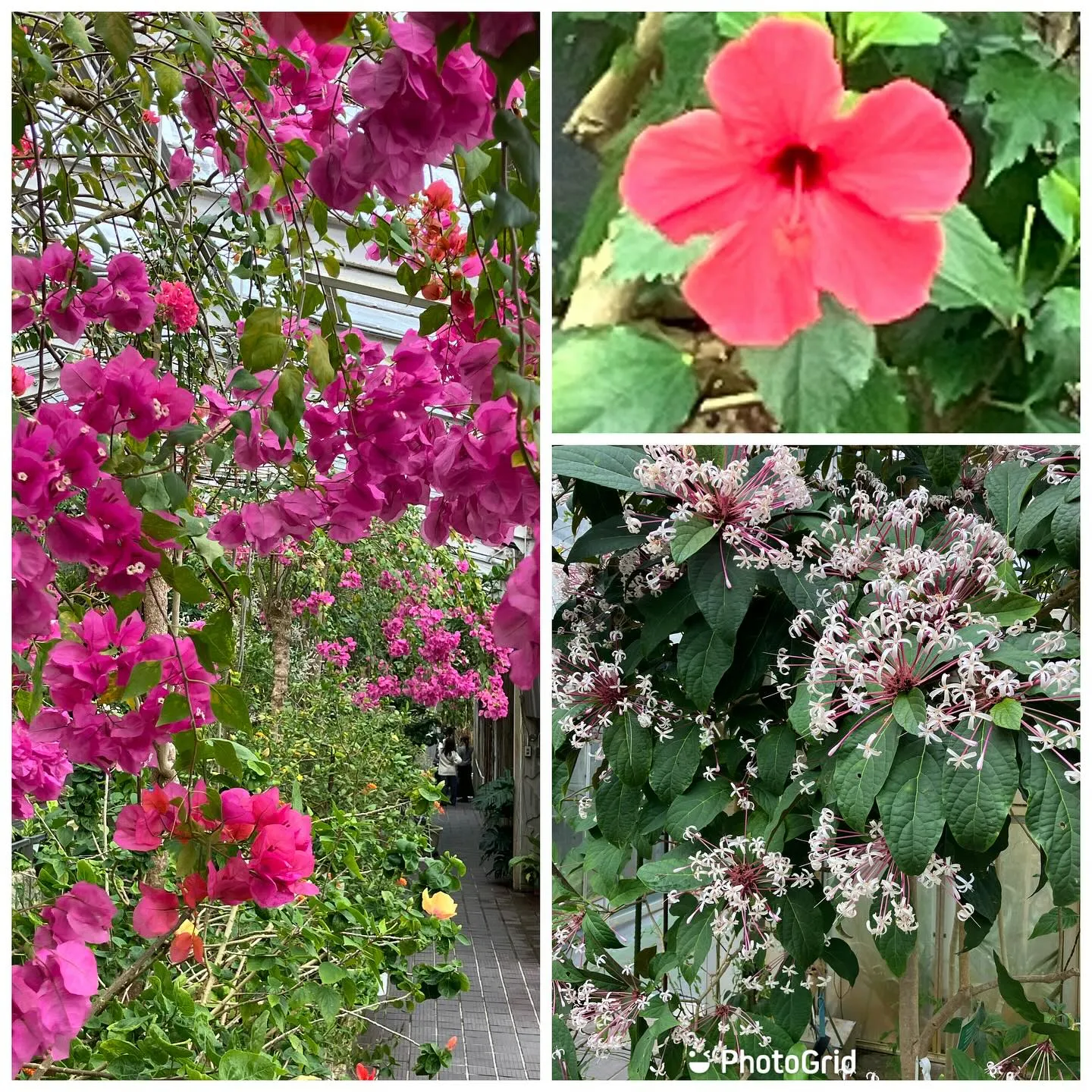 東山公園で観光地気分❣️