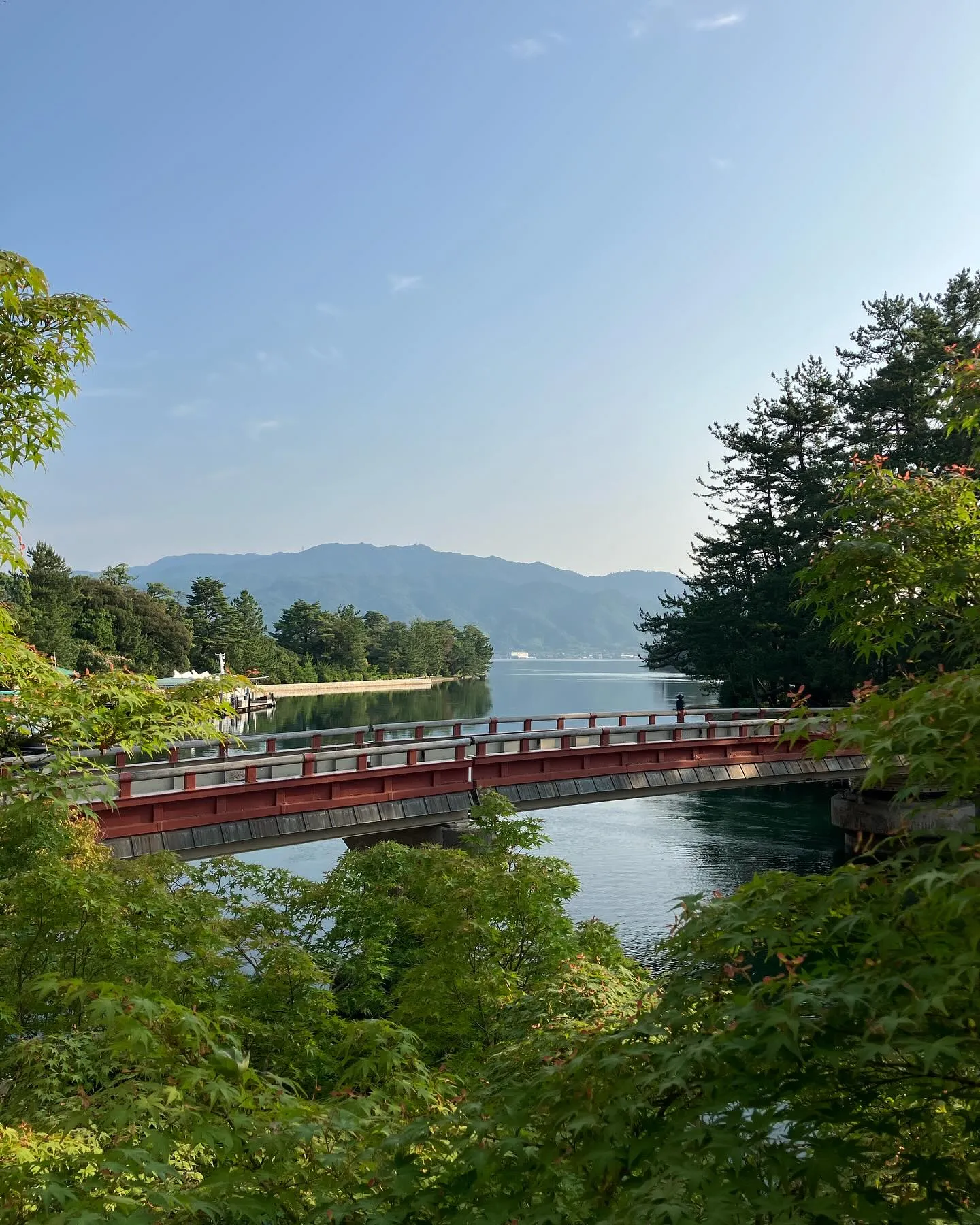 ほぼ40年振りの天橋立に行って来ました♪