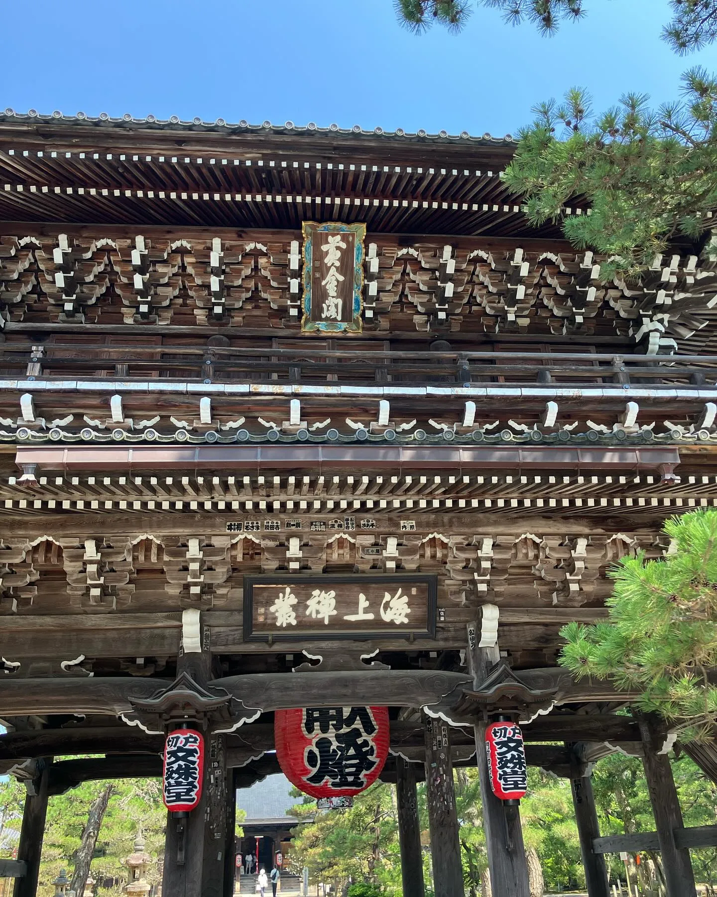 ほぼ40年振りの天橋立に行って来ました♪