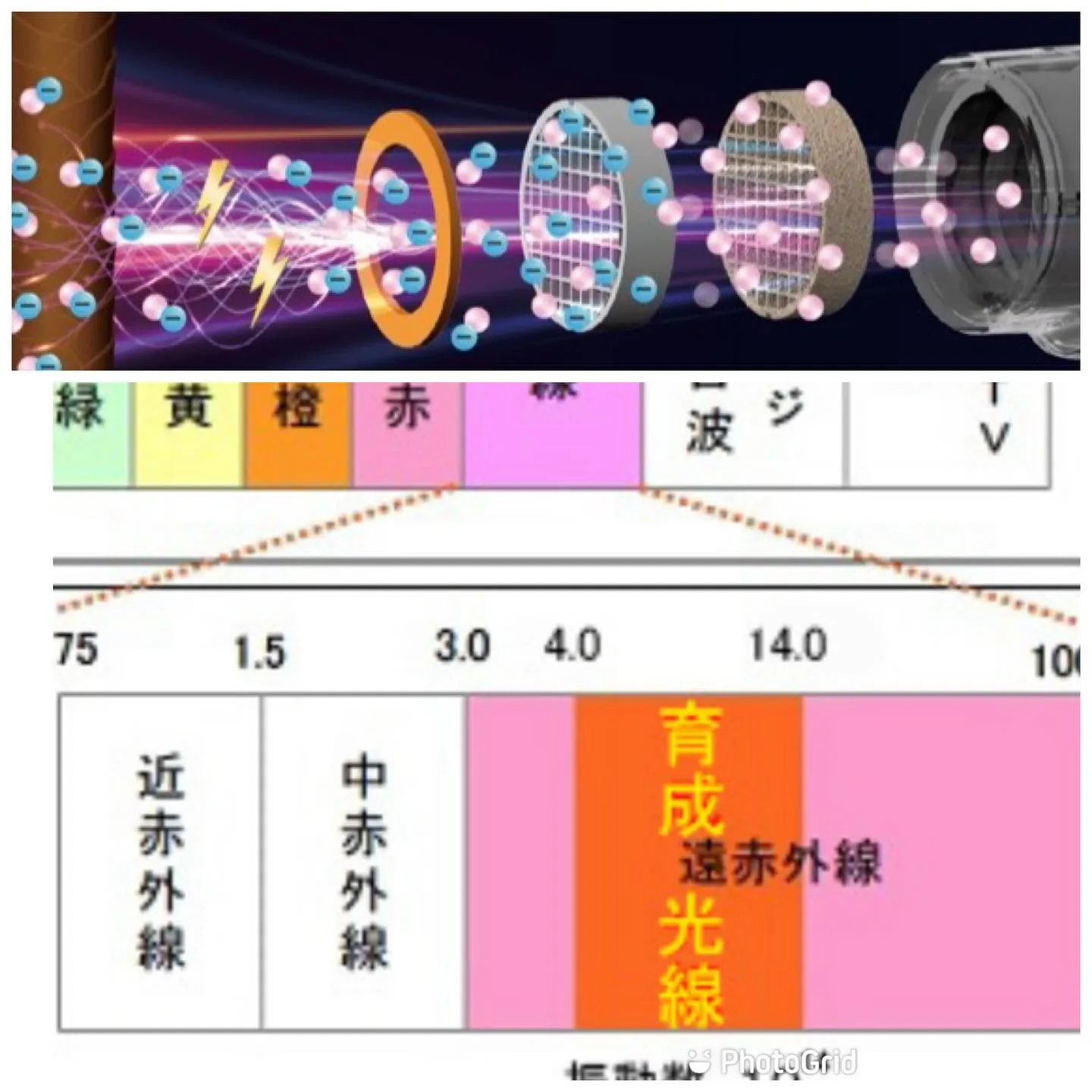 テラヘルツ波は細胞を活性する育成光線🎶