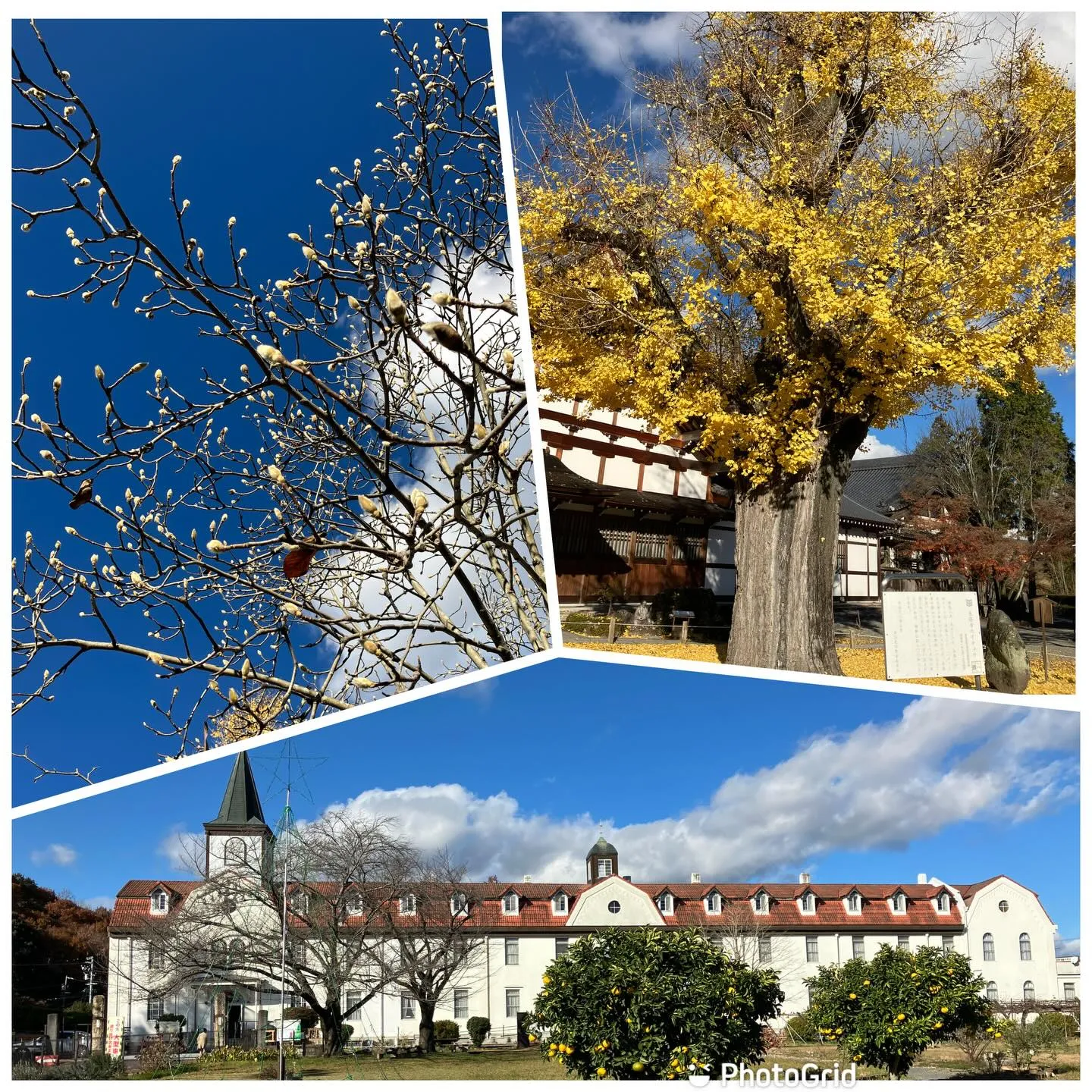 タピオ・ヴィルカラ展〜世界の果て〜岐阜県現代陶芸美術館