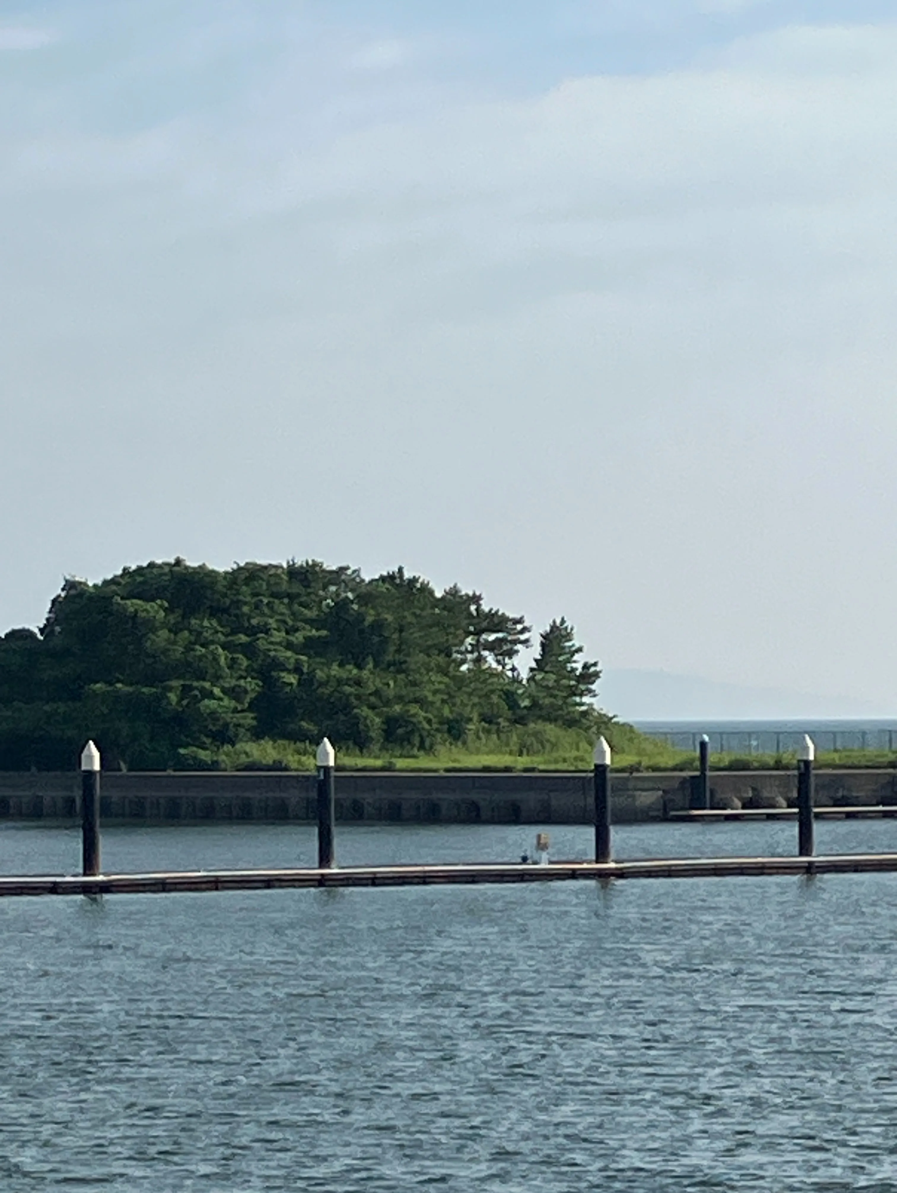 同級生と夏休み🌊☀️🍾